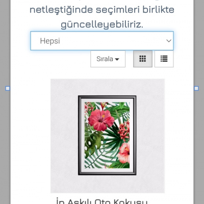 İp Askılı Oto Kokusu